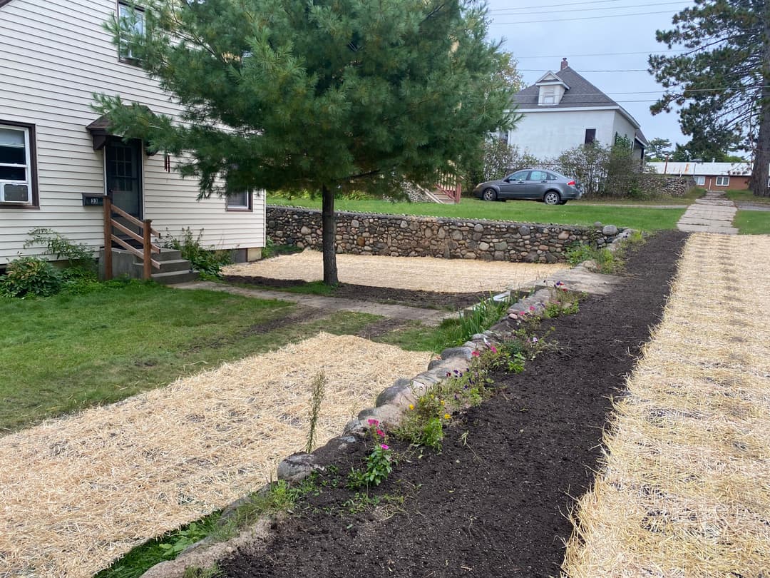Front yard landscape featuring a tree, stone wall, and freshly mulched garden beds.