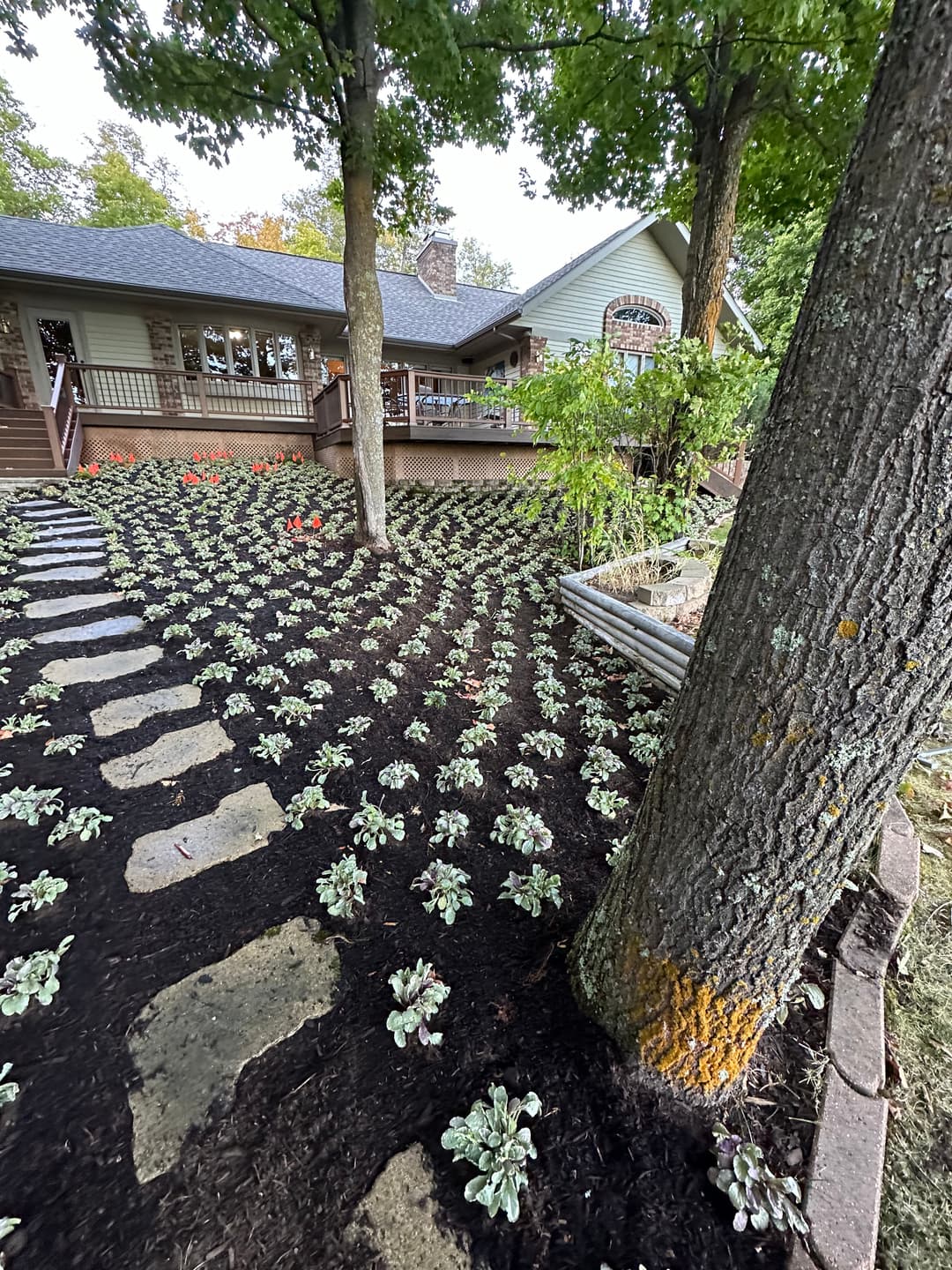 Lush garden landscape with stone path, vibrant flowers, and a tree near a house.