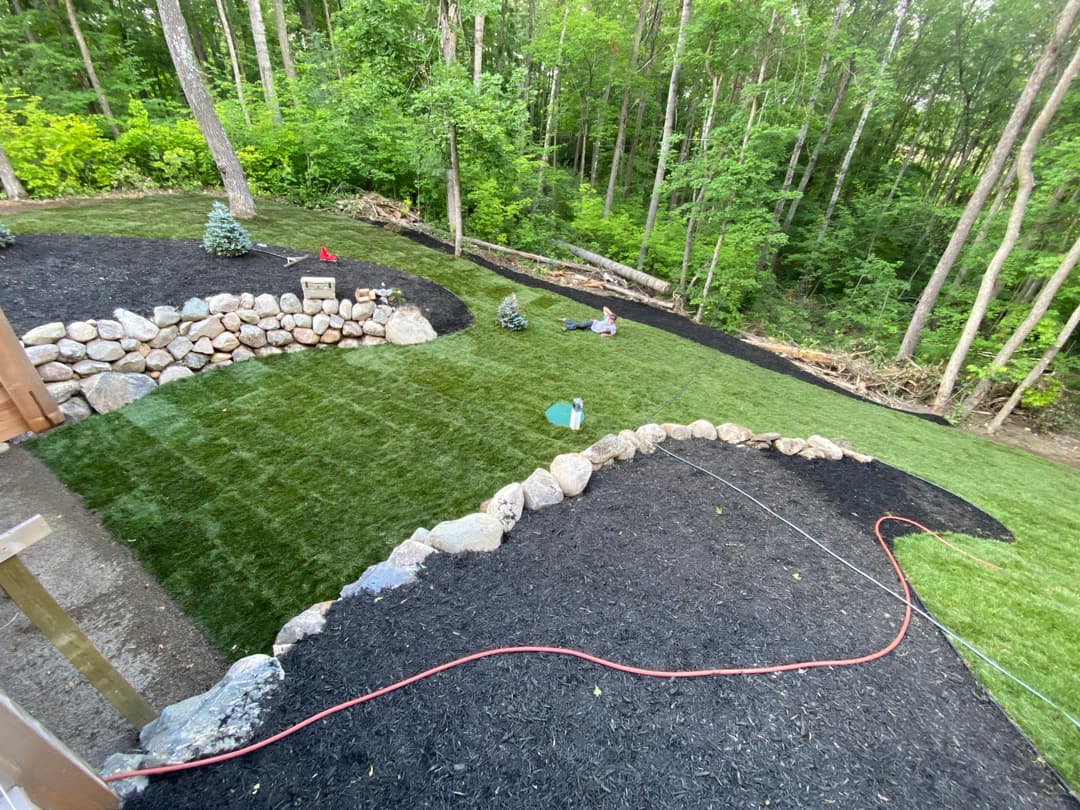Lush green lawn installation in a wooded backyard with stone borders and landscaping features.