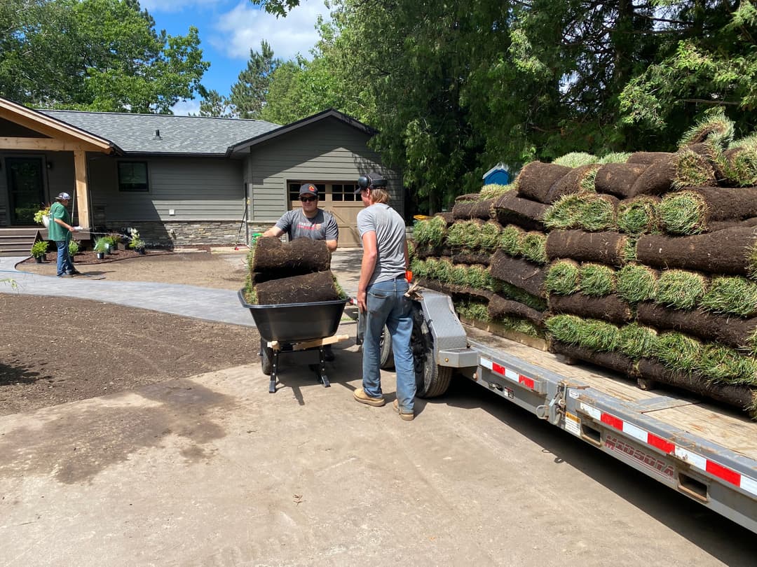 Workers unloading sod from a trailer to install new grass in a landscaped yard.