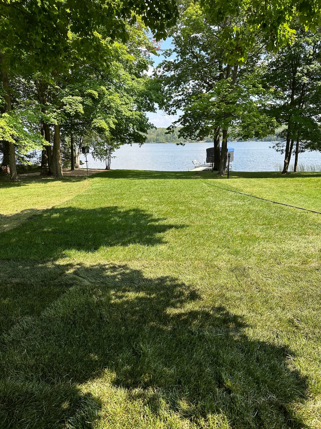 Lush green lawn by a tranquil lake surrounded by trees on a sunny day.